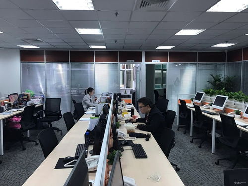 快速成长与优越环境 商务咨询行业的就业新选择